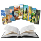 Separadores de libros pinturas